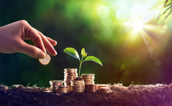 Growing Plant On Coins Money – Investment Concept